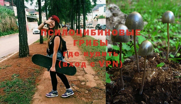 мдпв Михайловск