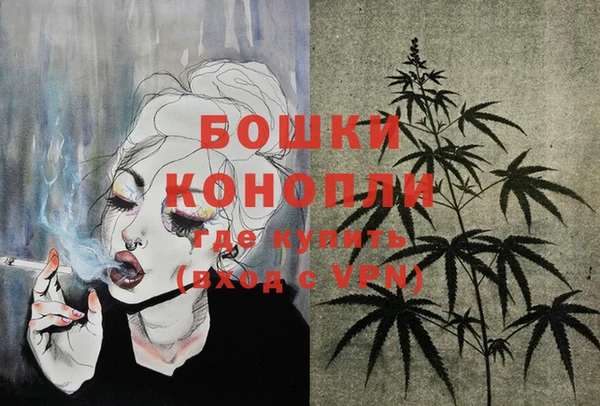 молекула духа Михайлов
