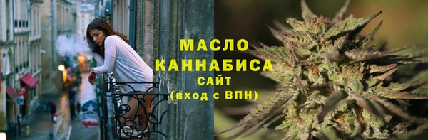 молекула духа Михайлов