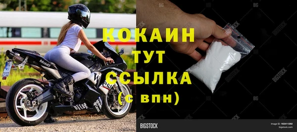 молекула духа Михайлов