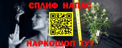 гидропоника Бийск