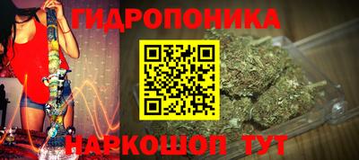гидра Берёзовский