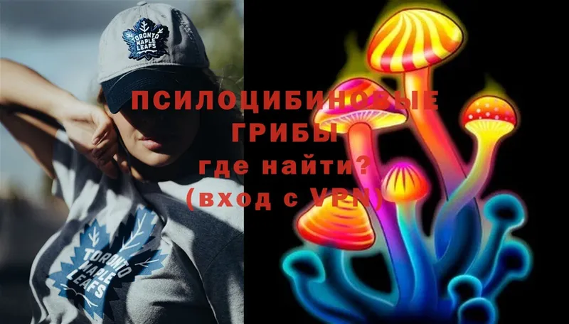 Псилоцибиновые грибы Psilocybe  Дубна 