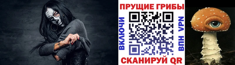 Псилоцибиновые грибы мухоморы  как найти закладки  маркетплейс клад  Дубна 