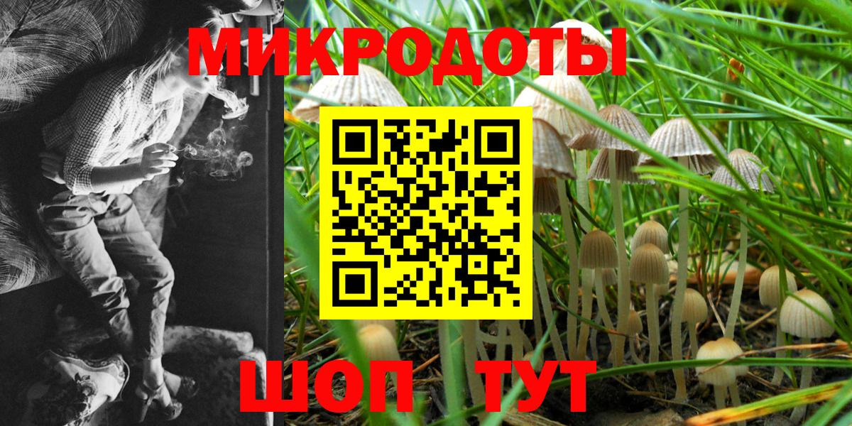 Псилоцибиновые грибы Psilocybe Дубна