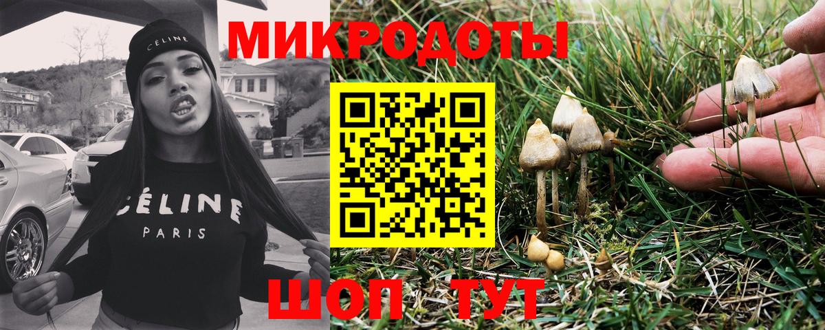 Псилоцибиновые грибы GOLDEN TEACHER  Галлюциногенные грибы Magic Shrooms  Вход с VPN  Дубна 