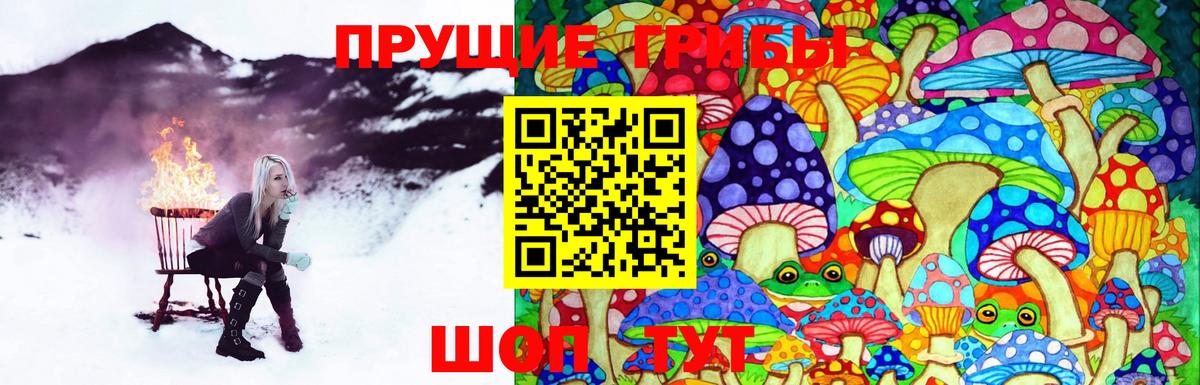 Псилоцибиновые грибы GOLDEN TEACHER Дубна